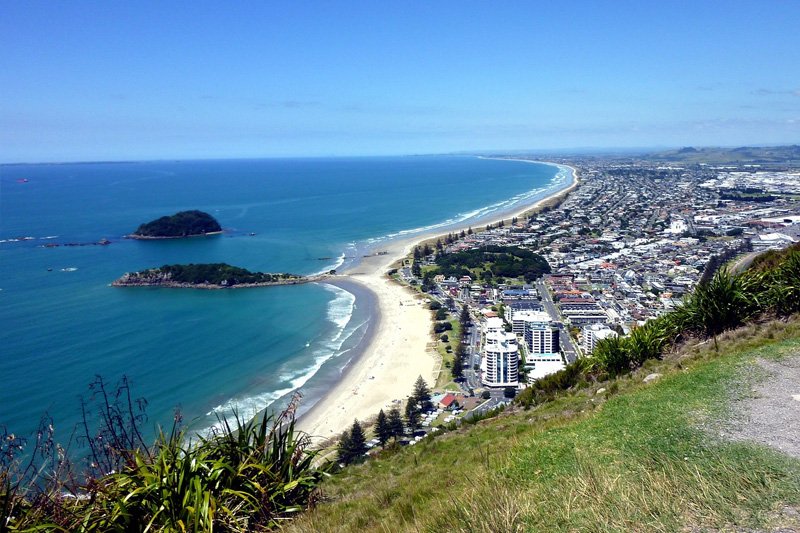 Tauranga Web Design Agency